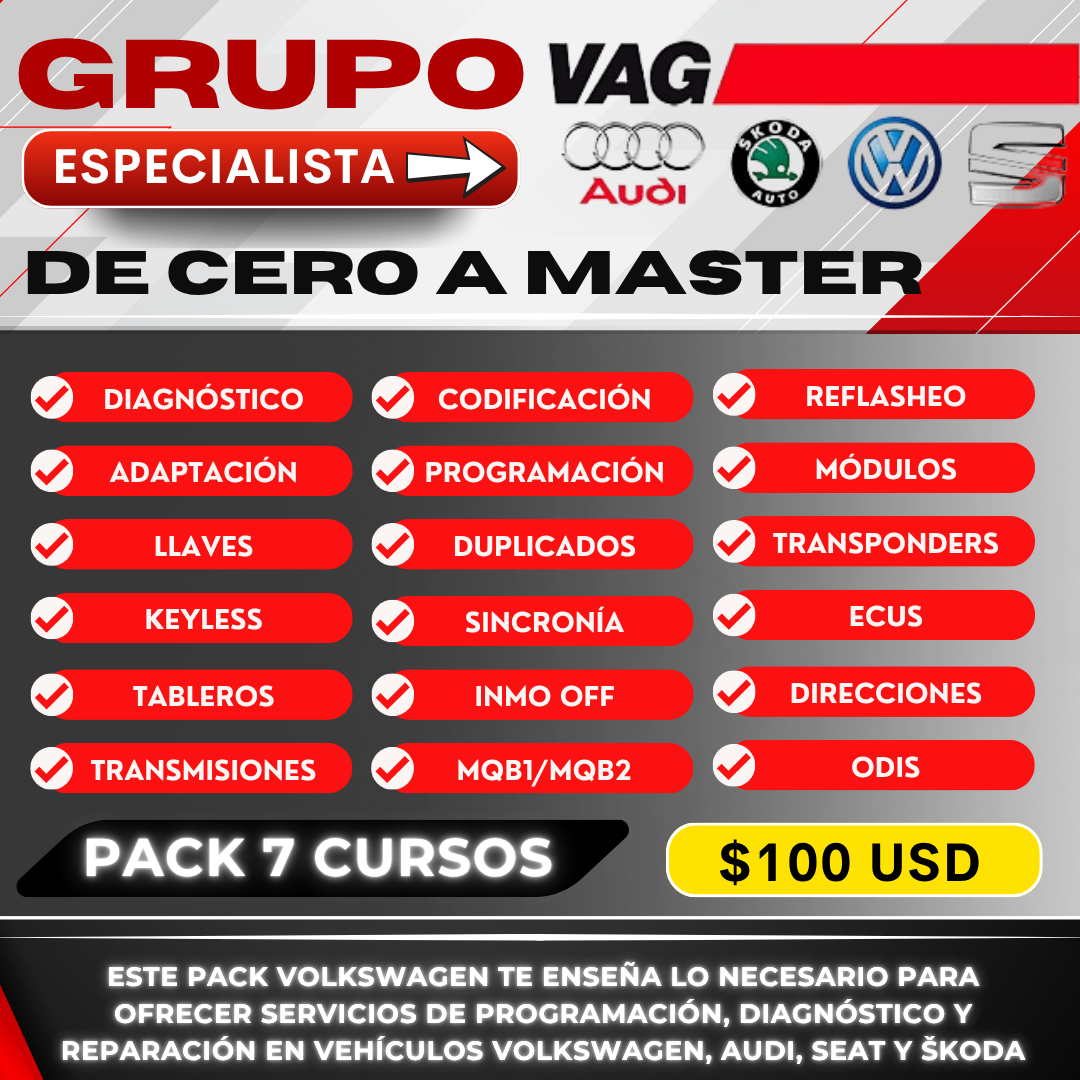 Especialista en Programación de Vehículos del Grupo VAG